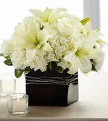 State of Bliss Arrangement