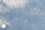 #10 Stone Dust Gray