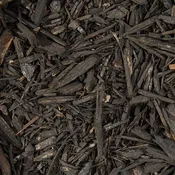 Black Mulch