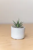 Mini Mason Grey