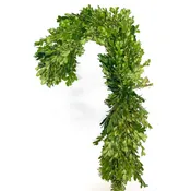 Boxwood Candy Cane Wreath