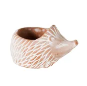 Hedgehog Planter