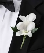 WHITE DENDROBIUM ORCHID BOUTONNIERE
