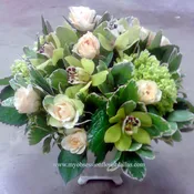 Green and peach, MO-206