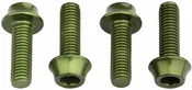 Water Bottle Cage Bolts