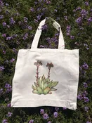 Dudleya cymosa Tote: Botanyware by Lesley — Native West Nursery - California Native Plants