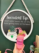 Succulent Water Bottle