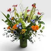 Summer Splendors