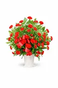 Classic Carnation Basket