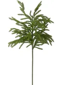 32" Real Touch Norfolk Pine Stem