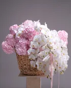 Hydrangea & Orchid Cascade Basket