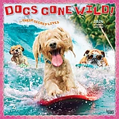 Avanti Dog Days 2026 Wall Calendar
