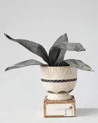 Hand-Painted Debossed Footed Planter