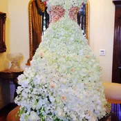 The Dress, Part 2