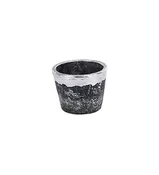 4.5" Silver Rimmed Cache