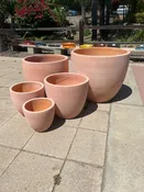 Amalfi Hosta Round Planter