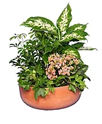 GARDEN PLANTER