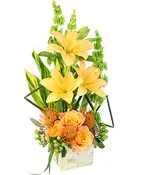 TROPICAL HONEY