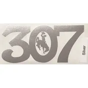 307 DECALS 6" WIDE