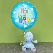 Baby Dino Package Boy