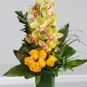 Cymbidium Orchid with a Half Dozen Roses FS14