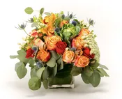 Orange Julius — My Fair Lady's Flowers