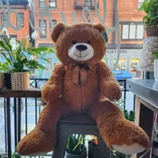 Large Sized Brown Huggie Bear — FLEUR DE LIS FLORIST