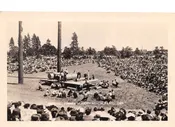 Albany Oregon Annual Timber Carnival Real Photo Vintage Postcard AA99292