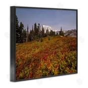 Aaron Matheson | Mountain Meadow Scenery Wall Art