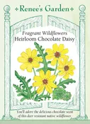 Fragrant Wildflowers - Heirloom Chocolate Daisy