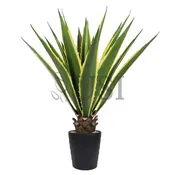 Agave Succulent Plant x19 Leaves Potted, 38in, Yellow Green