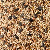 Wild Bird Seed - 1.5 tbsp