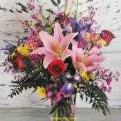 Lily Enchantment