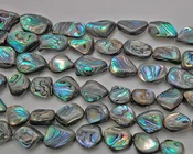 Abalone Beads #048