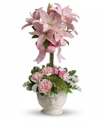 Blushing Lilies