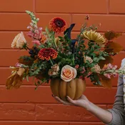 Fall Designer's Pick