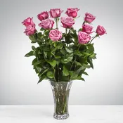 One Dozen Long Stem Premium Purple Roses