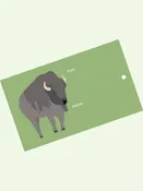 Buffalo Gift Tags (Double-Sided, Set of 10 with Twine)