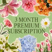 3 MONTH PREMIUM BOUQUET SUBSCRIPTION