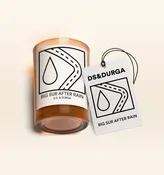 Big Sur After Rain Candle and Auto Duo