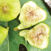 Lattarula Italian Honey Fig