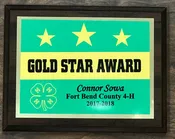 4H Gold