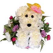 Adogable for Mom