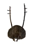 #1266 Vintage traditional African Bolon or calabash gourd guitar. 17" H