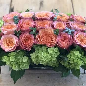 Rose Pave`