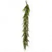 60" x 16" Norfolk Pine Garland