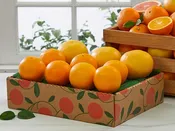 Citrus Lovers Club - 8 Months - Mixed
