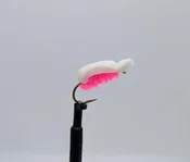 Doug’s Popcorn Beetle White/Magenta Size 6 — Lance Gray & Company