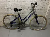 Giant Cypress - 17" — Biketopia