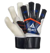 SELECT 04 Protection v24 FLAT CUT